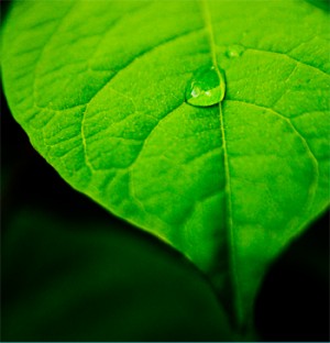 environment3